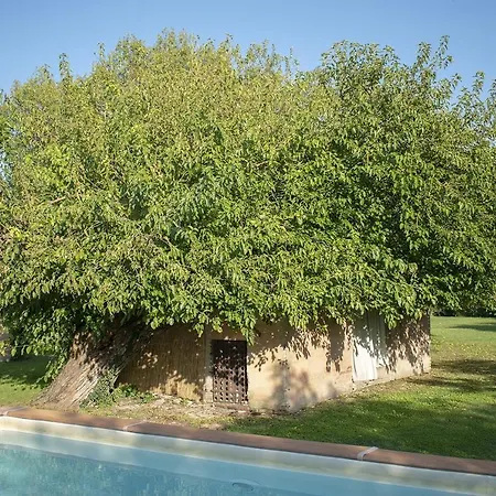 Leone, Enjoy Staying Together Again In Pure Nature * Santa Maria Nuova (Ancona)
